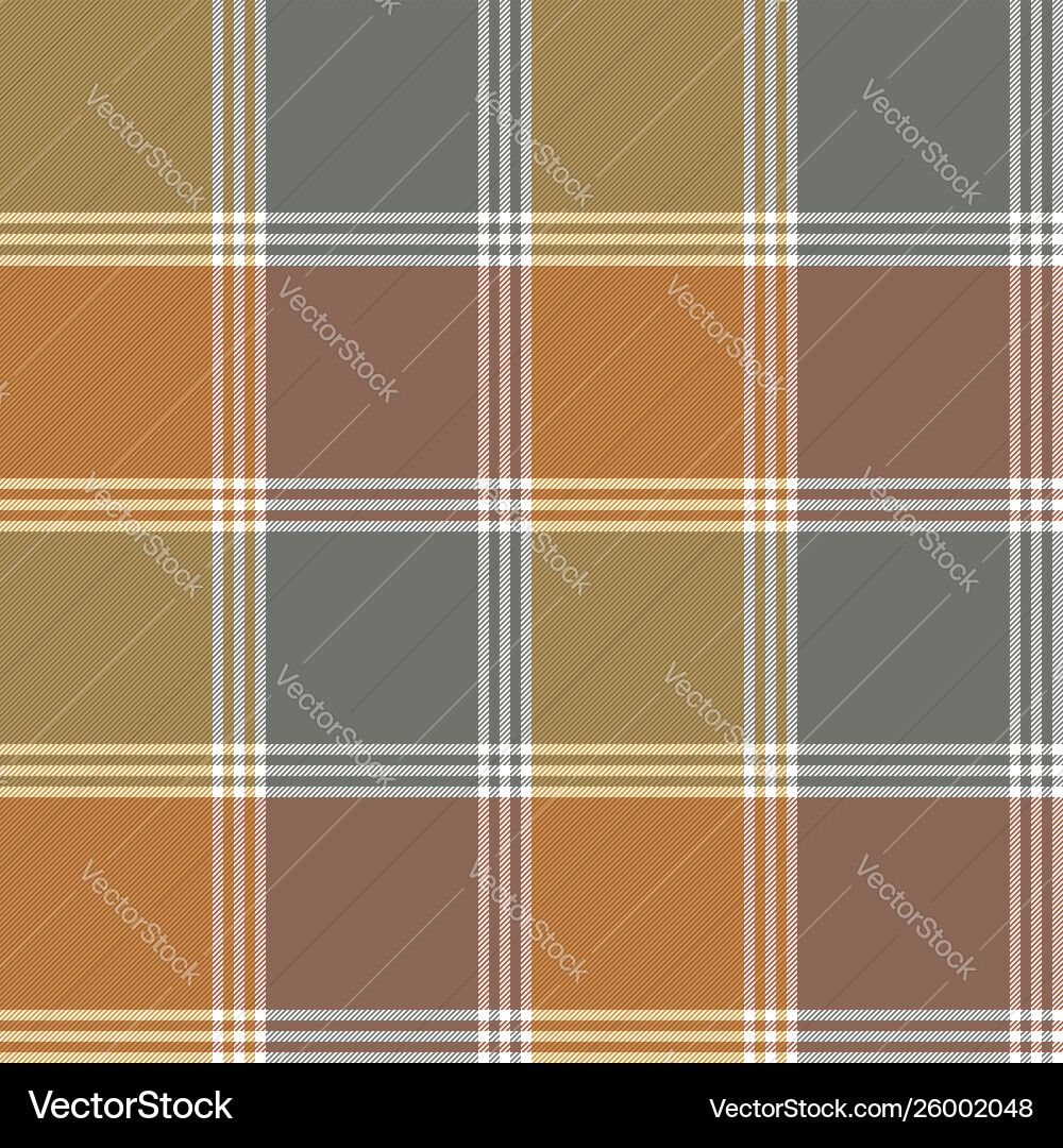 Retro Check Fabric Pattern vector image