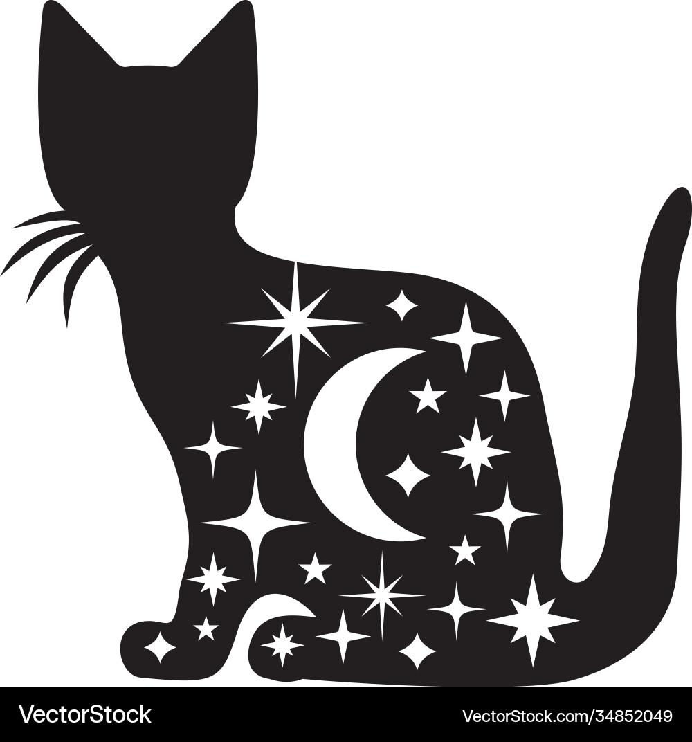 Celestial cat Vector Image