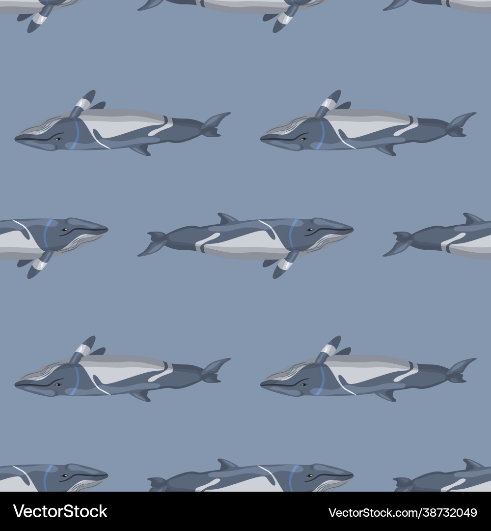 Seamless pattern lesser rorqual on gray Vector Image
