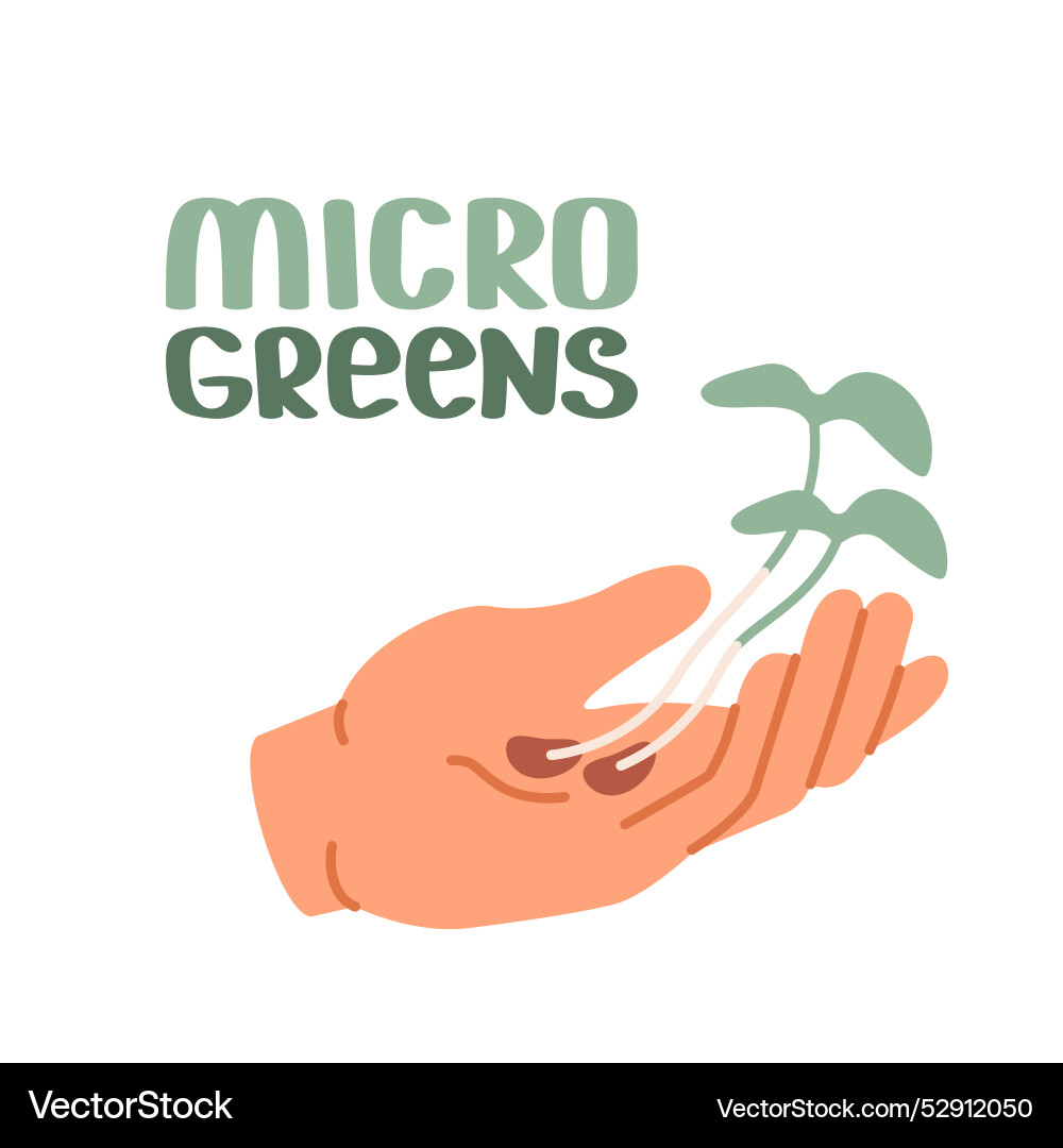 Open palm of white human hand holds two sprouts Open palm of white human hand holds two sprouts vector image