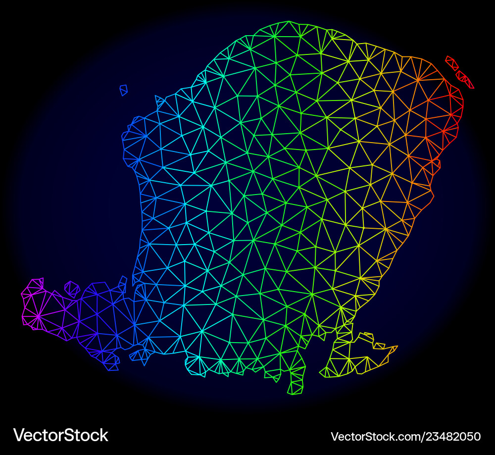 Polygonal 2d spectrum mesh map of lombok Polygonal 2d spectrum mesh map of lombok vector image