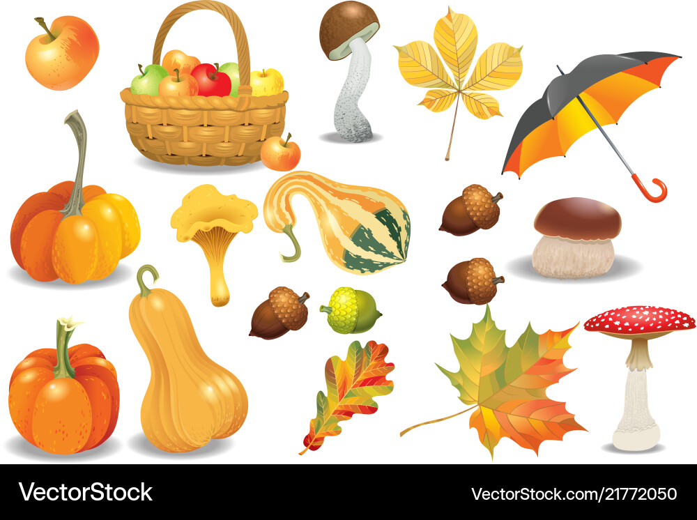 Set of autumn objects pumpkins different types Set of autumn objects pumpkins different types vector image