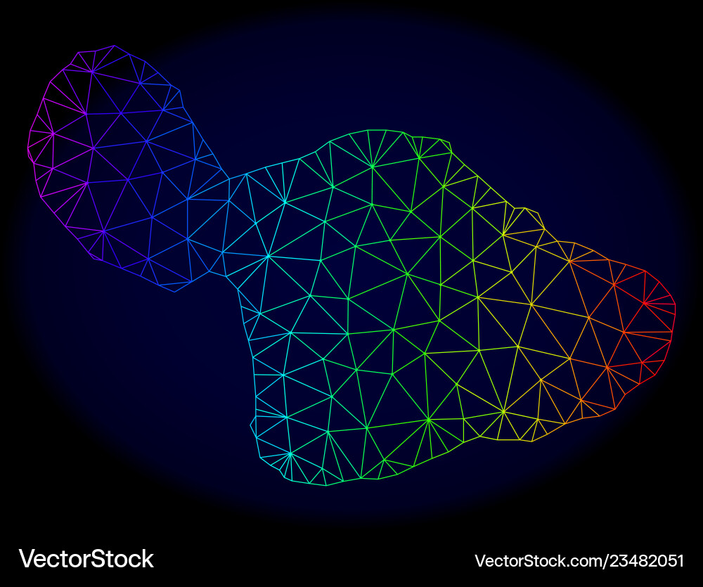 Polygonal wire frame spectrum mesh map Vector Image
