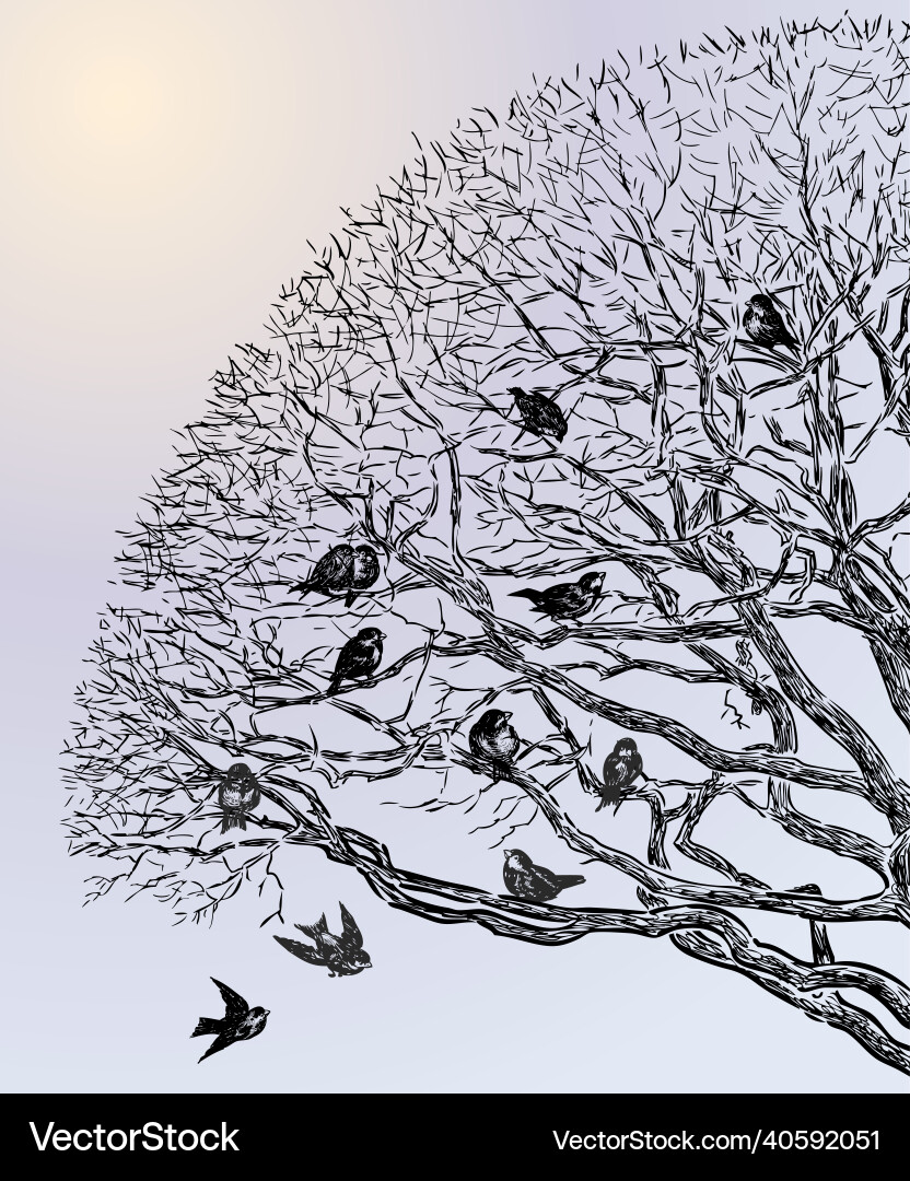 Sparrows on Winter Tree Branches Vector Image