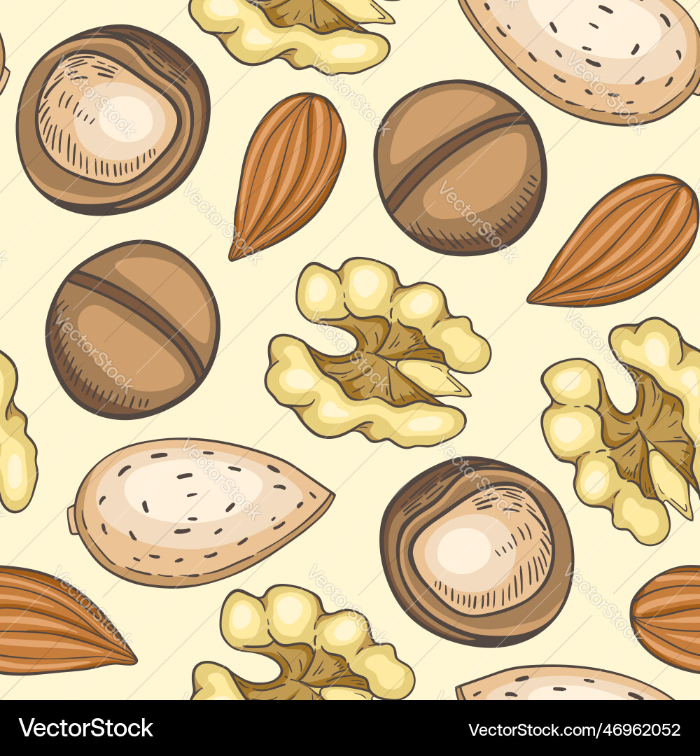 Seamless pattern with nuts Vector Image