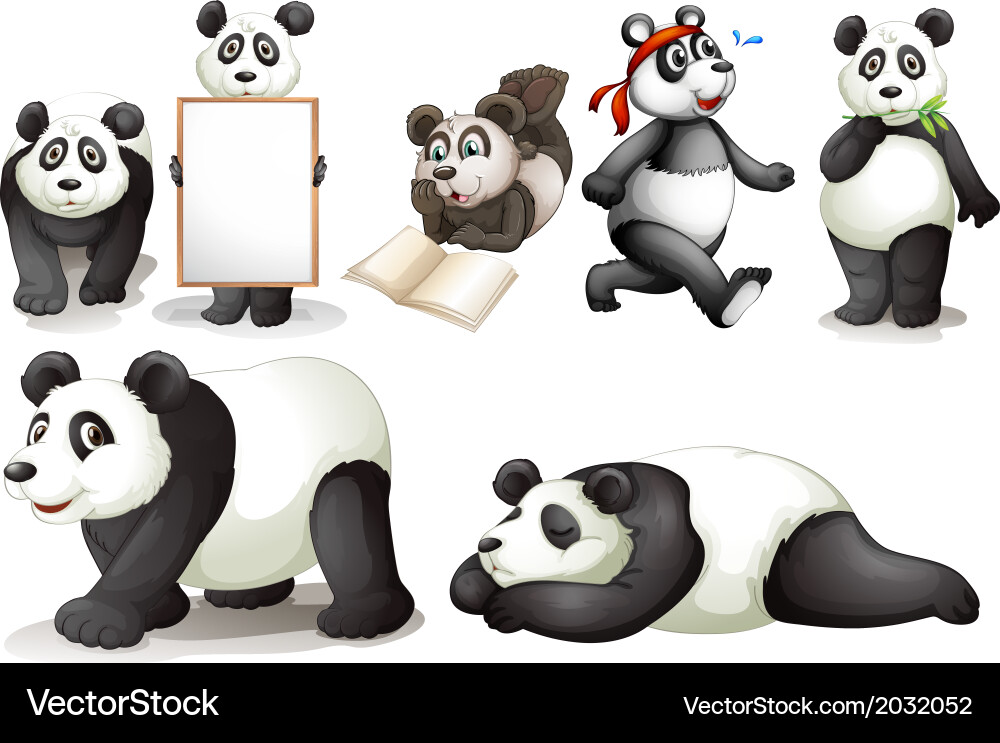 Seven pandas Vector Image