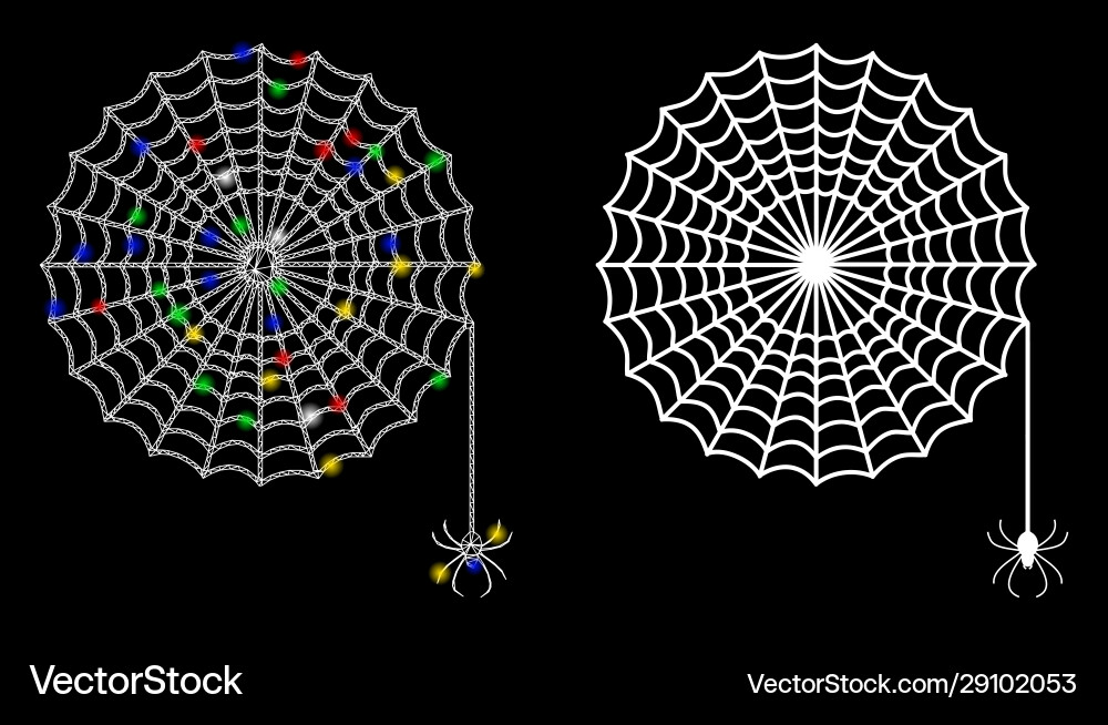 Flare mesh wire frame spider net icon with light Flare mesh wire frame spider net icon with light vector image