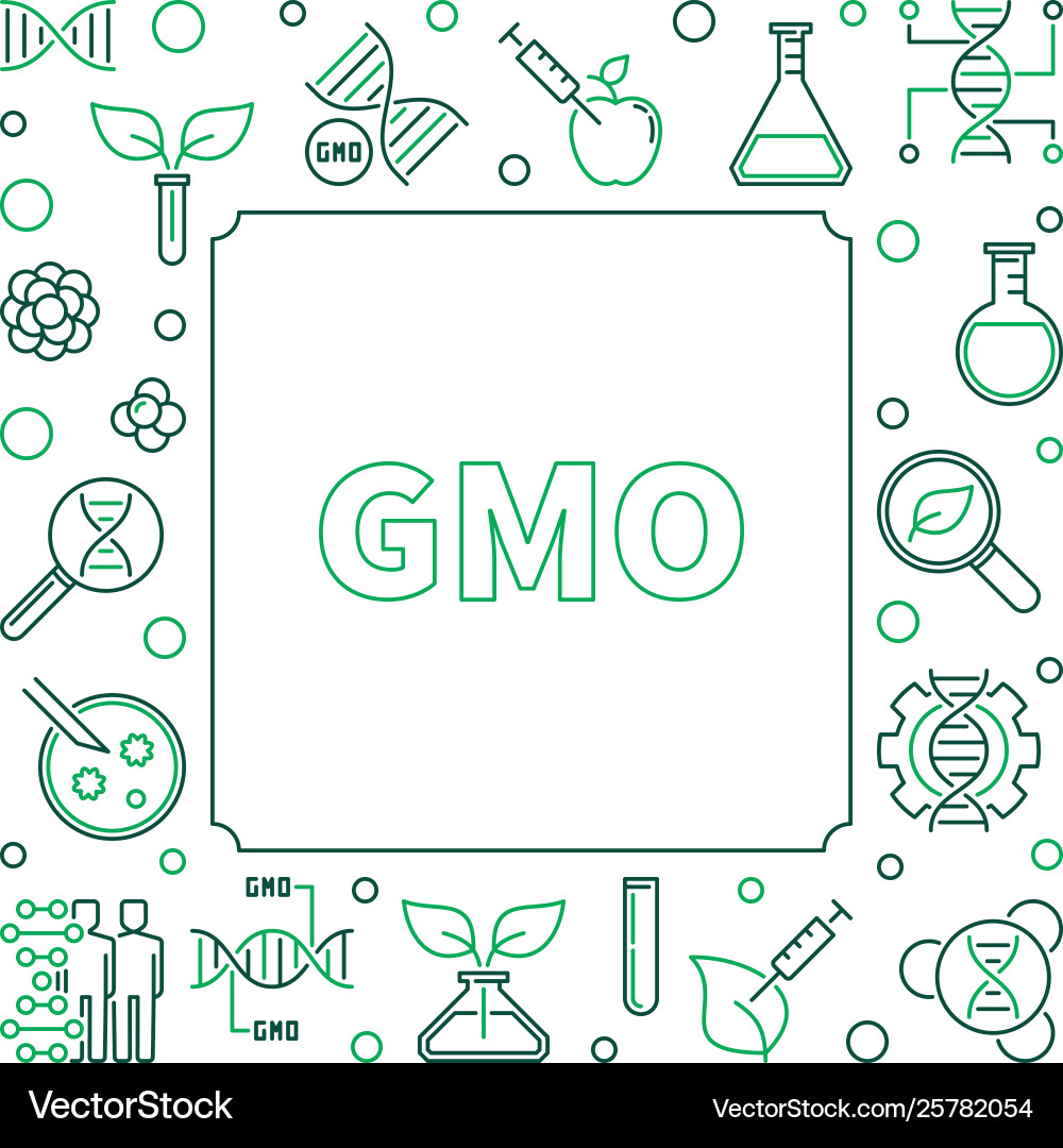 Gmo square simple concept linear frame Vector Image