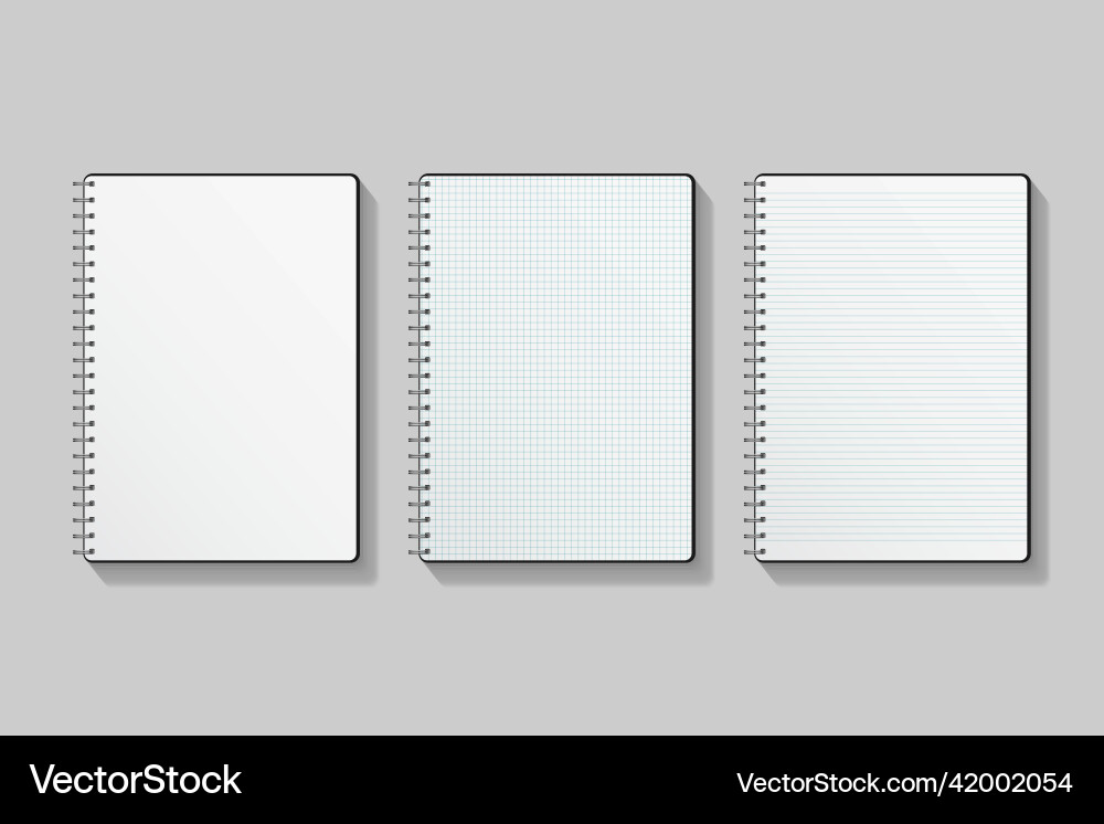 Notebook set blank lined and squared Notebook set blank lined and squared vector image