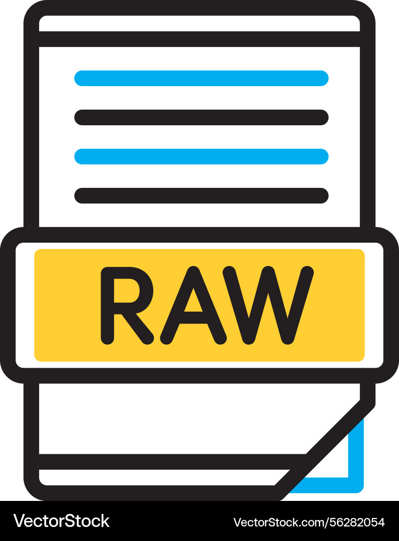 Raw Data Icon vector image