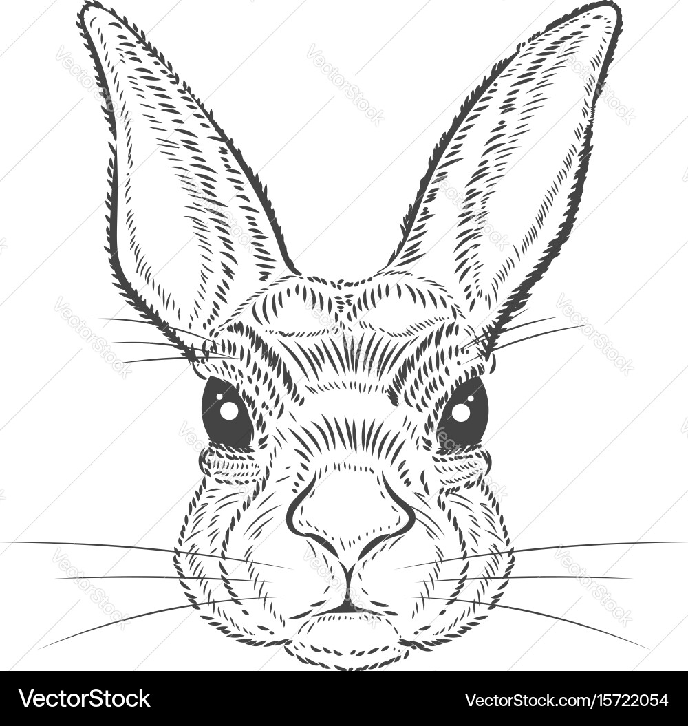 Retro Rabbit Print vector image