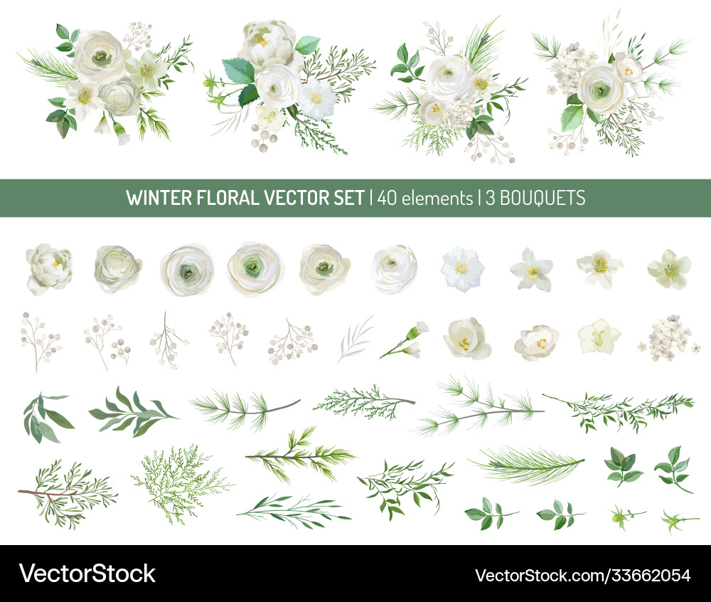 Winter Botanical Bouquet vector image