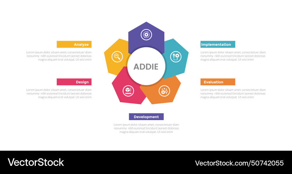 Addie learning development model infographics Addie learning development model infographics Vector Image