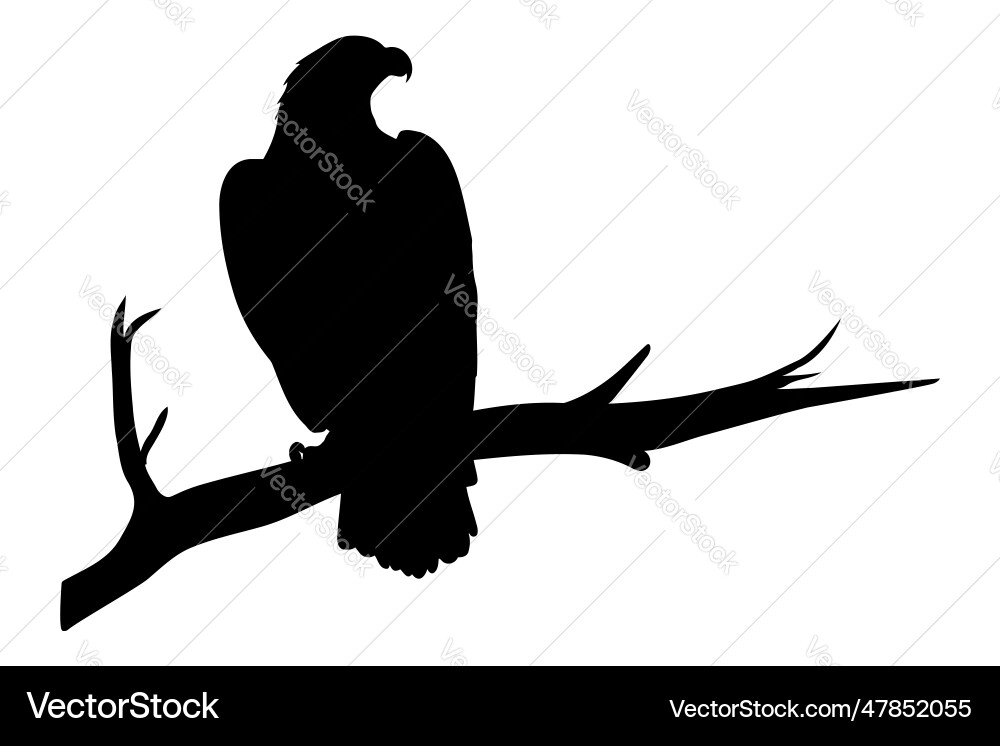 Eagle Silhouette on Branch Vector Image