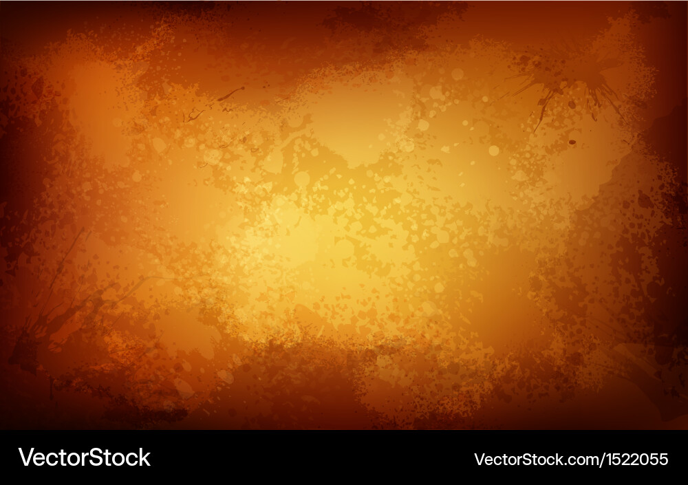 Rustic Grunge Background vector image