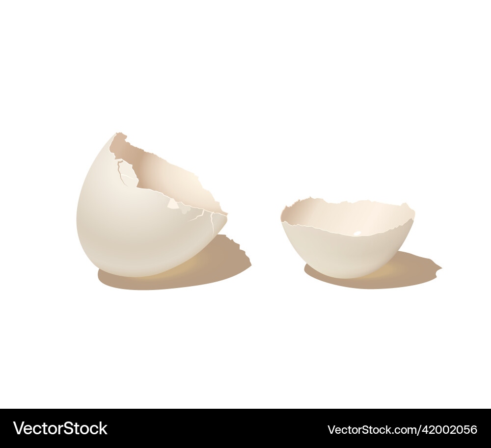 Broken empty eggshell isolated on white background Broken empty eggshell isolated on white background vector image