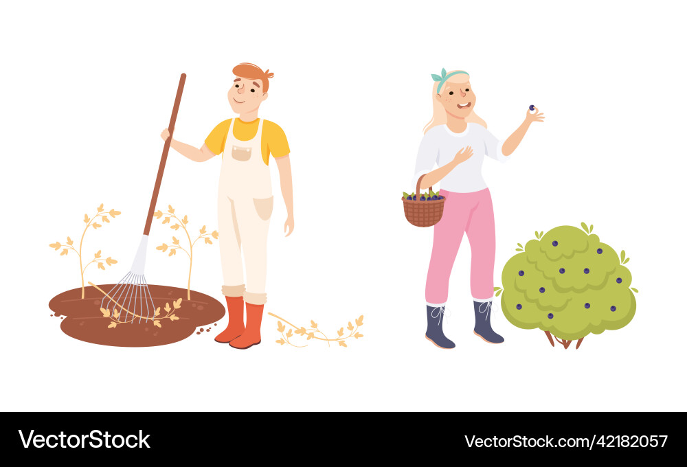 Farmers working on field using rake and picking Vector Image