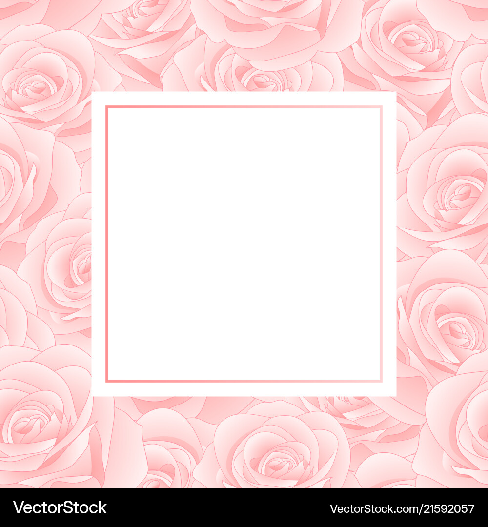 Pink rose banner card – Royalty-Free Vector | VectorStock, image size:1000x1080