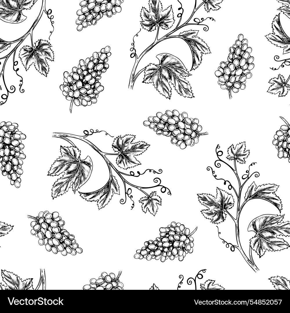 Seamless pattern with the image of grapes Seamless pattern with the image of grapes vector image