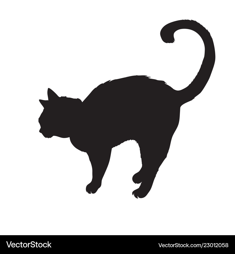 Black cat silhouette isolated on white background Black cat silhouette isolated on white background vector image