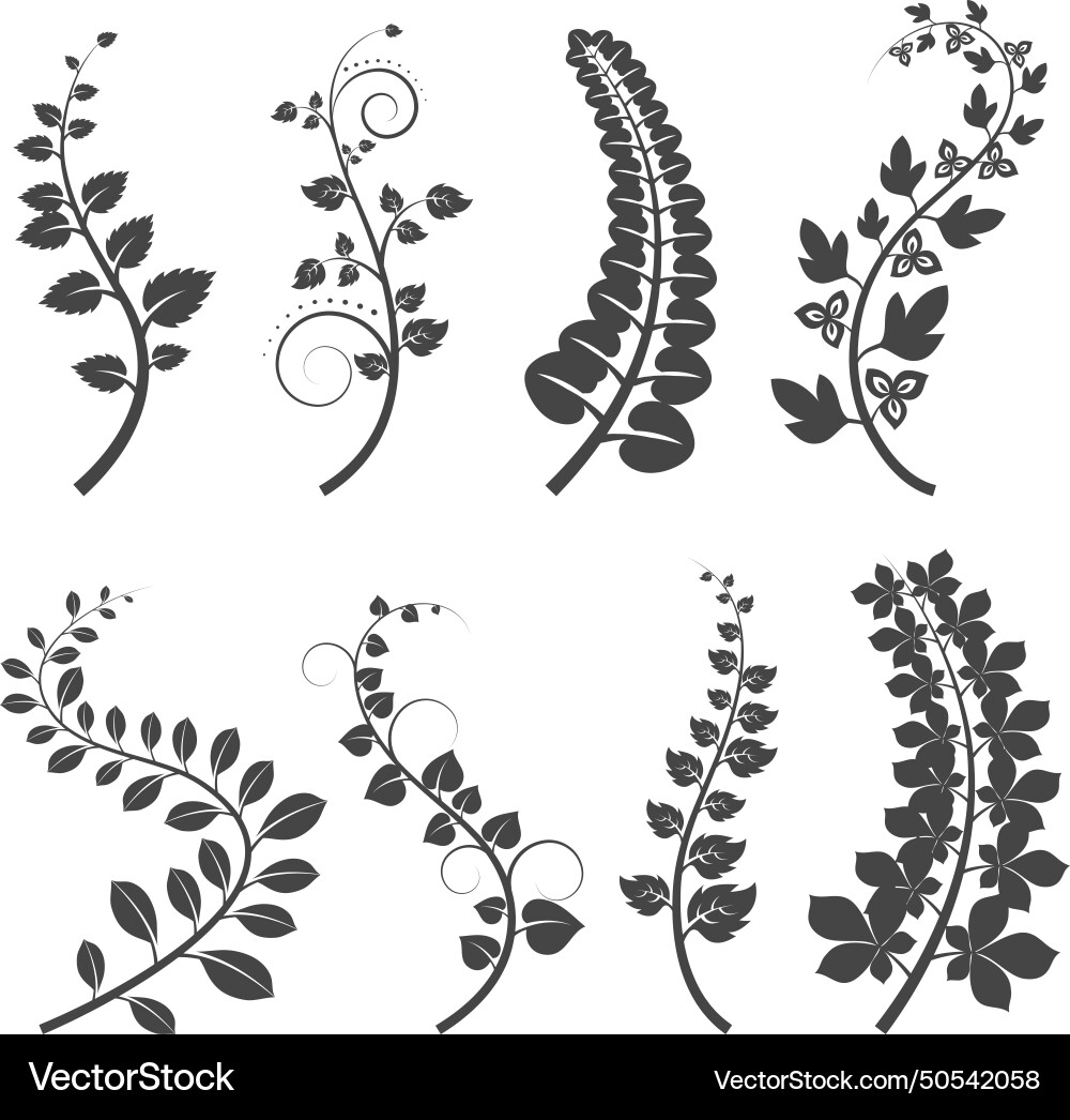 Curly branches with leaves silhouettes on white Curly branches with leaves silhouettes on white vector image