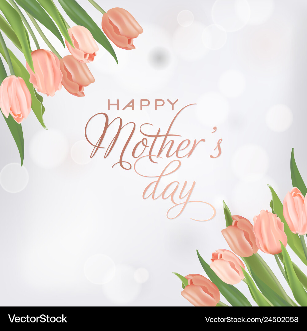 Mothers day banner template with tulips flowers Mothers day banner template with tulips flowers vector image