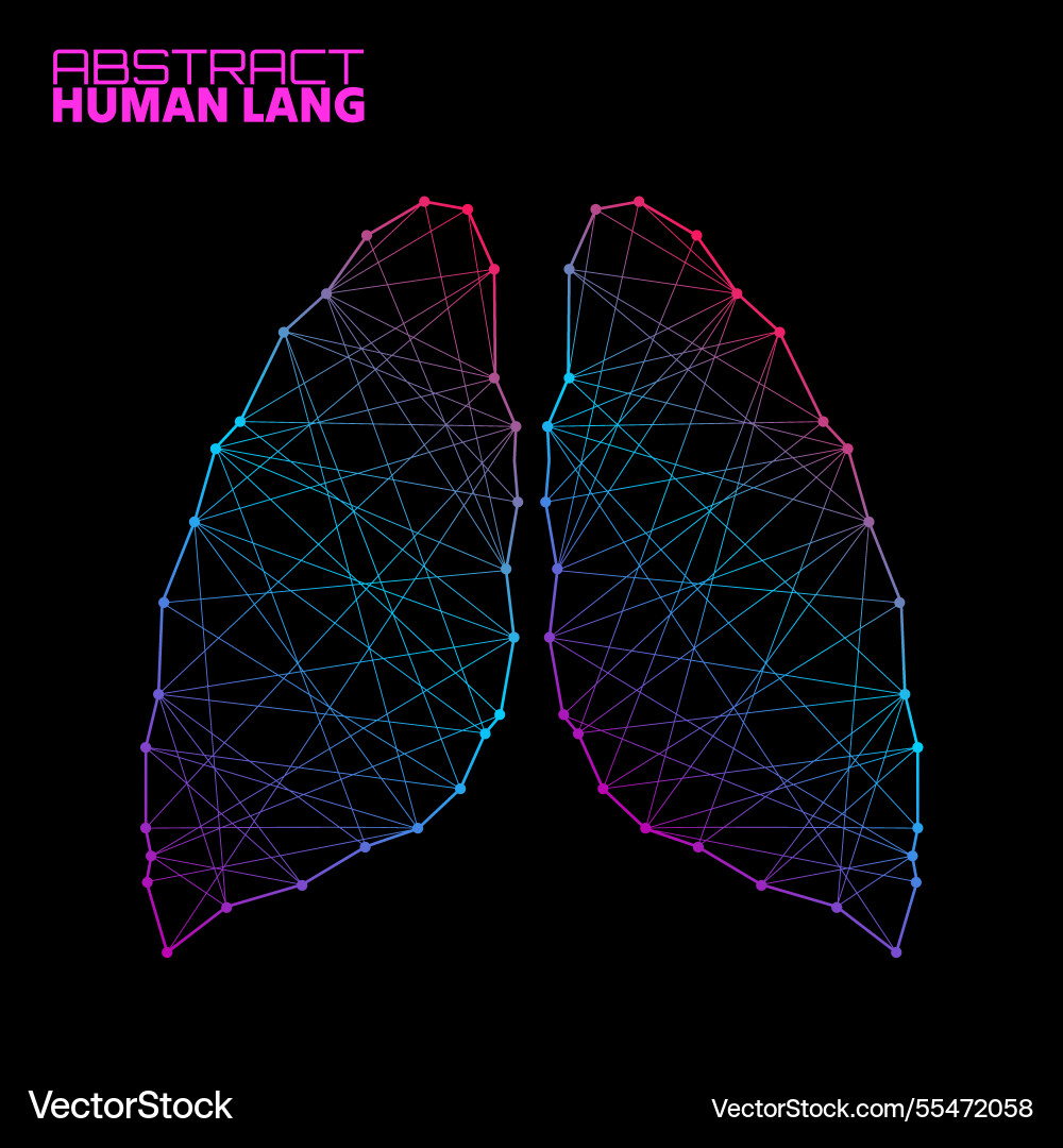 Polygonal abstract lung with connected lines vector image