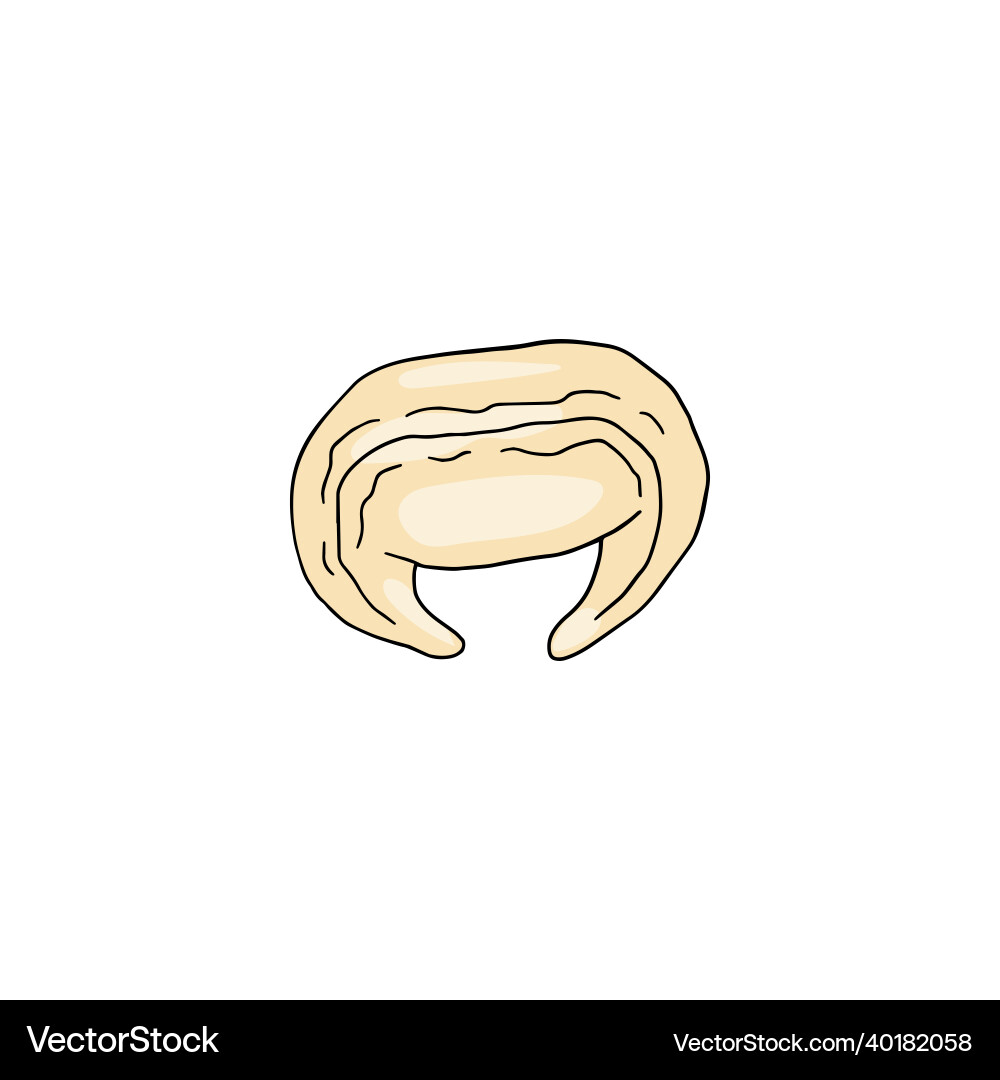 Process of making dumpling from raw dough circle Vector Image