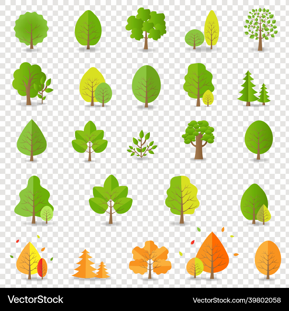 Tree collection isolated transparent background vector image