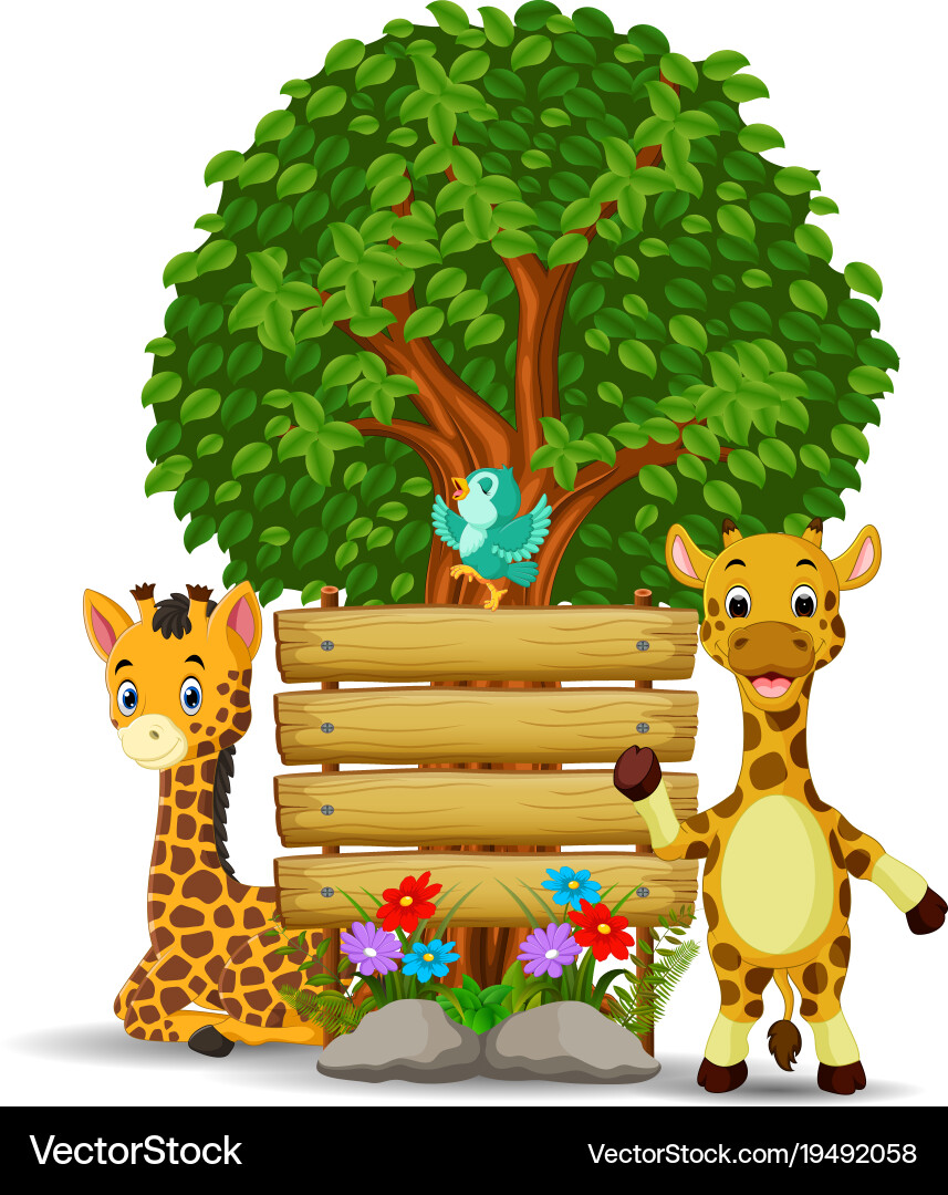 Two giraffe and bird in front of an empty wooden Vector Image