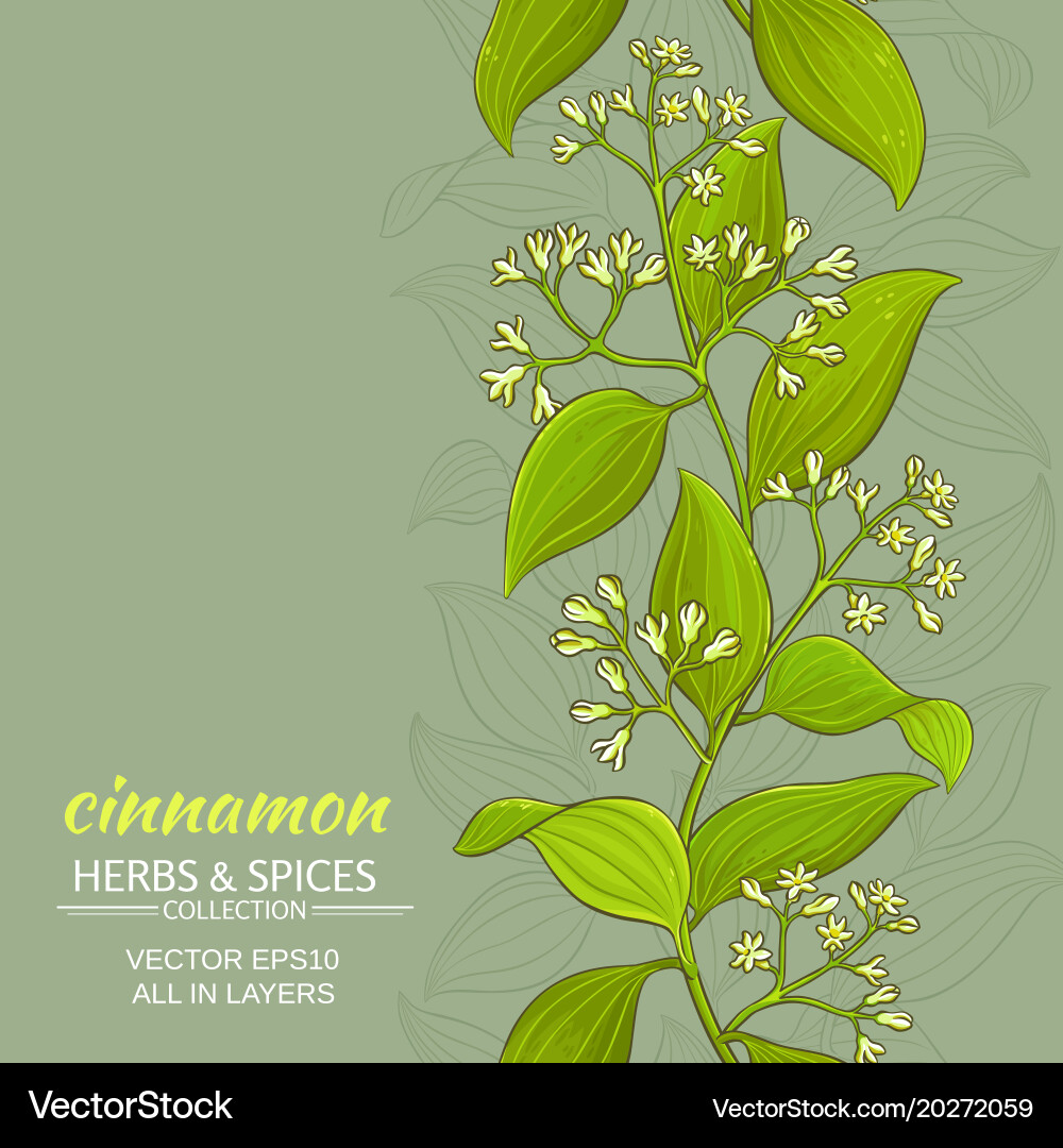 Cinnamon Branch Pattern Vector Image