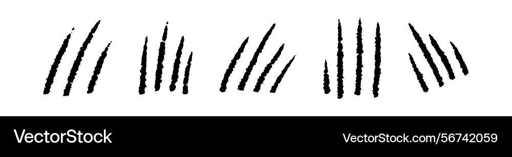 Dinosaur beast scratch marks with claw texture Dinosaur beast scratch marks with claw texture vector image