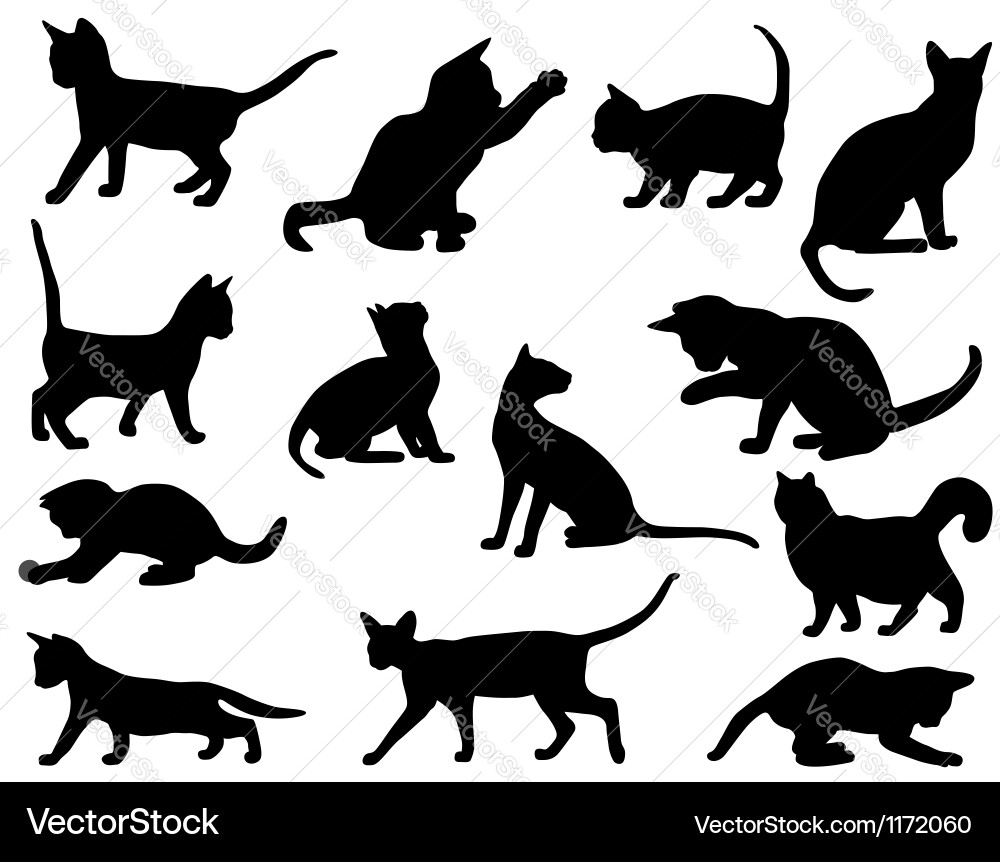 Cat Silhouettes - Dark Background vector image