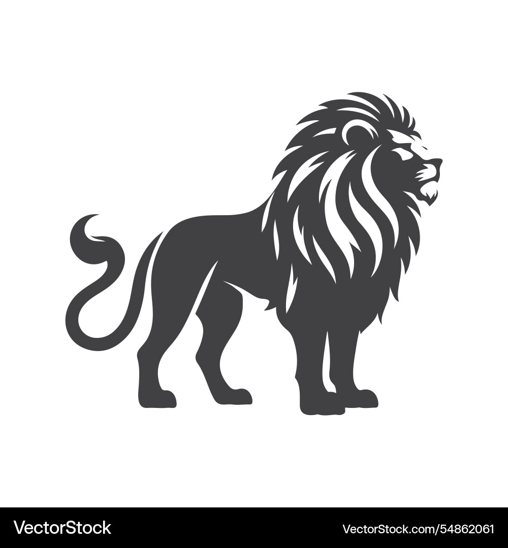 Design elements Vector Image