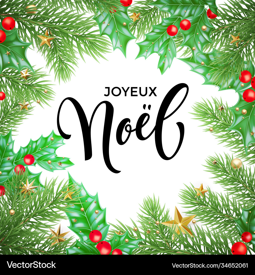 Joyeux noel french merry weihnachtshand Joyeux noel french merry weihnachtshand vektorbild