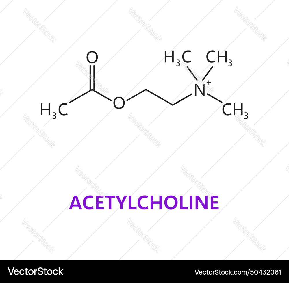 Neurotransmitter acetylcholine chemical formula Neurotransmitter acetylcholine chemical formula vector image