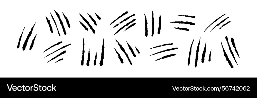 Cat scratch marks with isolated claw texture Cat scratch marks with isolated claw texture vector image
