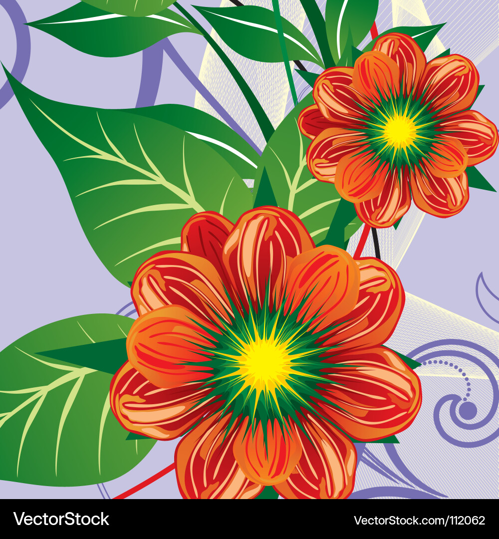 Elegant Floral Swirl Background Vector Image