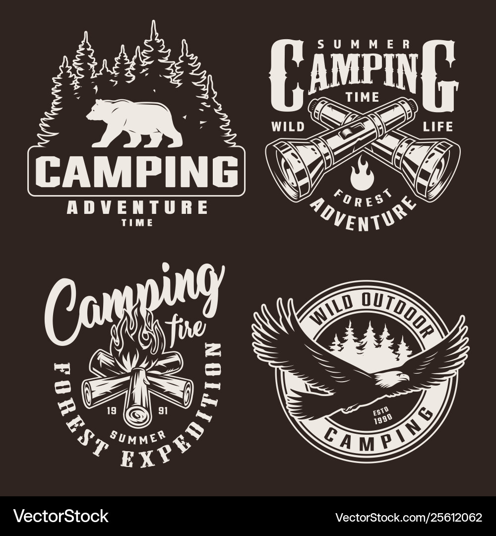 Monochrome Summer Adventure Badges Vector Image