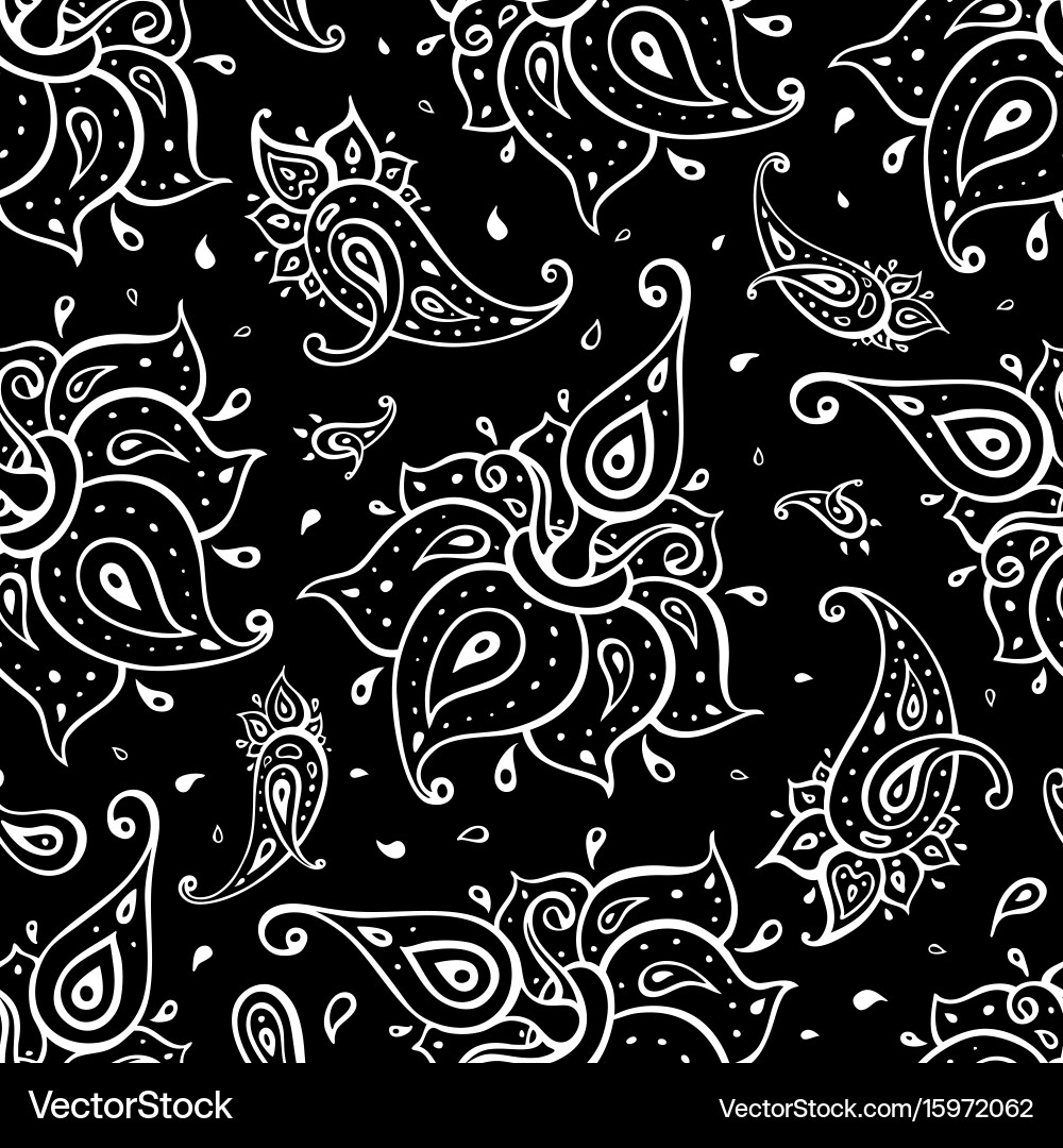 Paisley Ethnic Pattern Vector Image