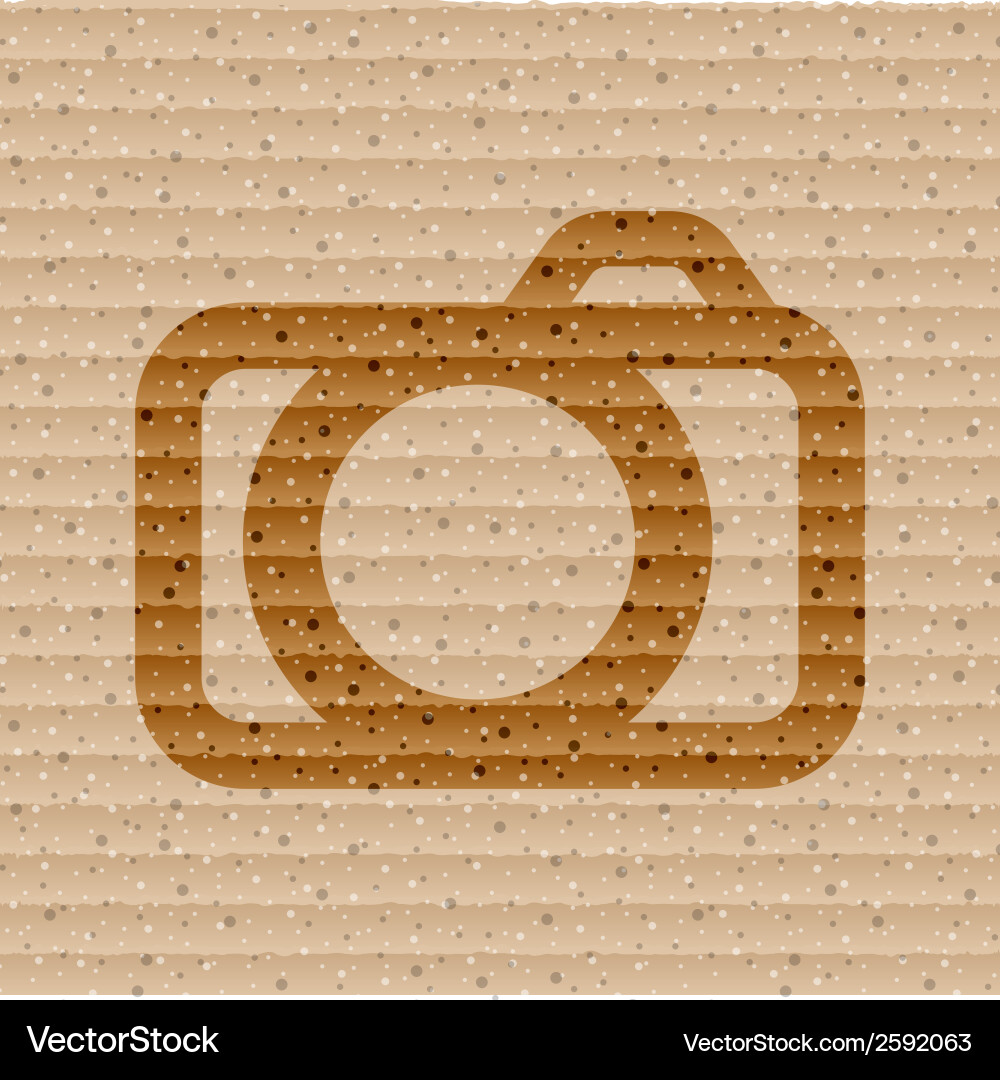 Camera flat modern web button and space for your Vector Image