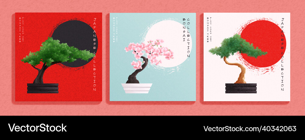 Japanese Bonsai Cards vector image