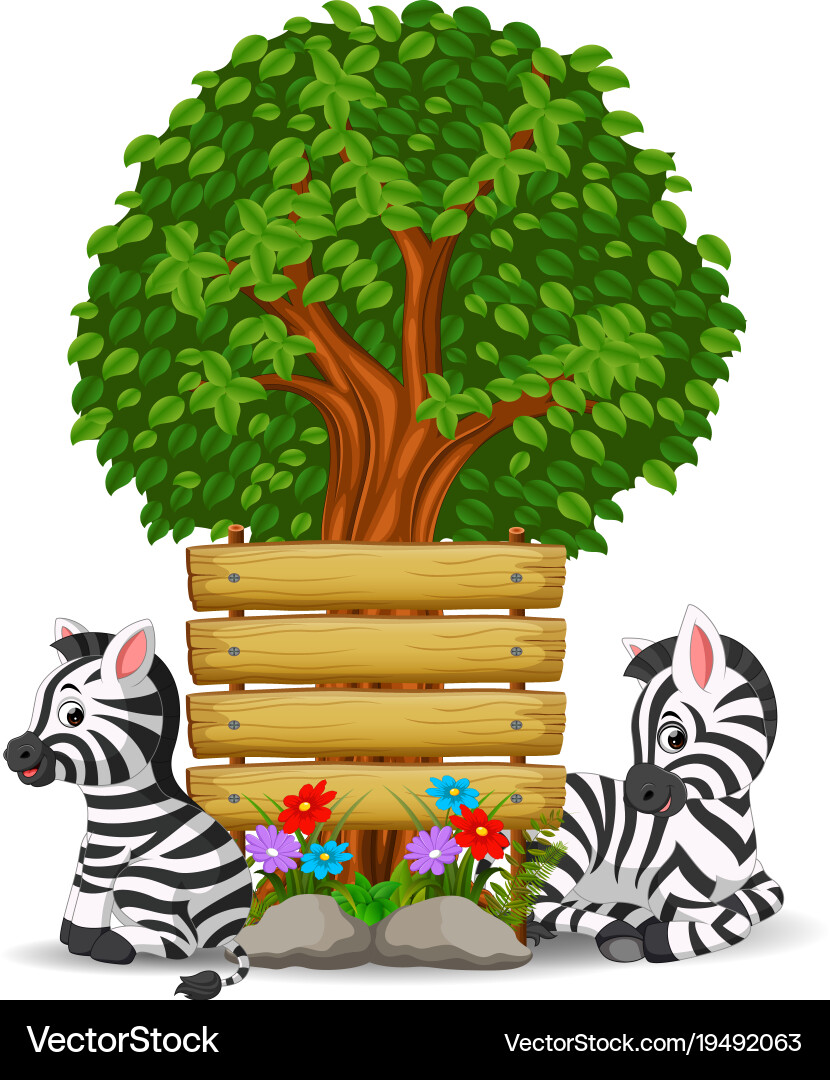 Two zebra in front of an empty wooden signboard Vector Image