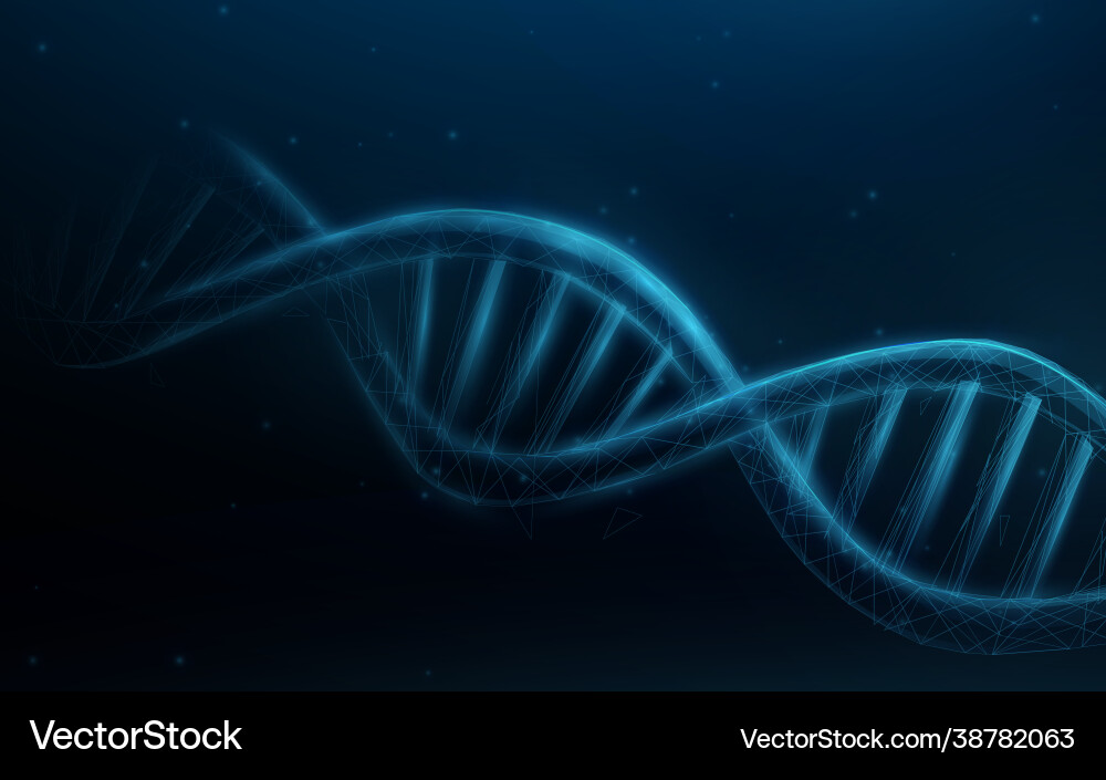 Wireframe DNA Structure Mesh vector image
