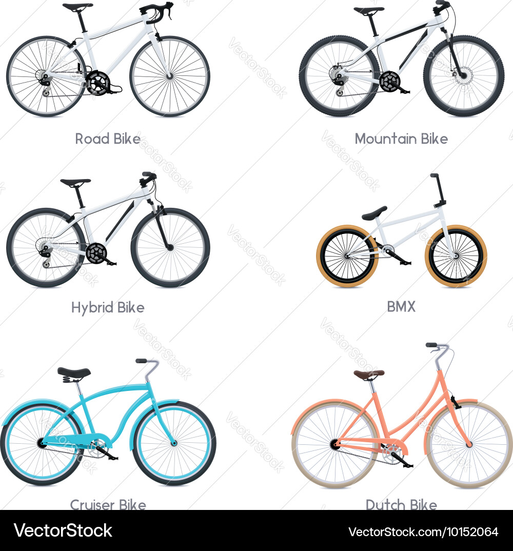Bicycles set Royalty Free Vector Image - VectorStock