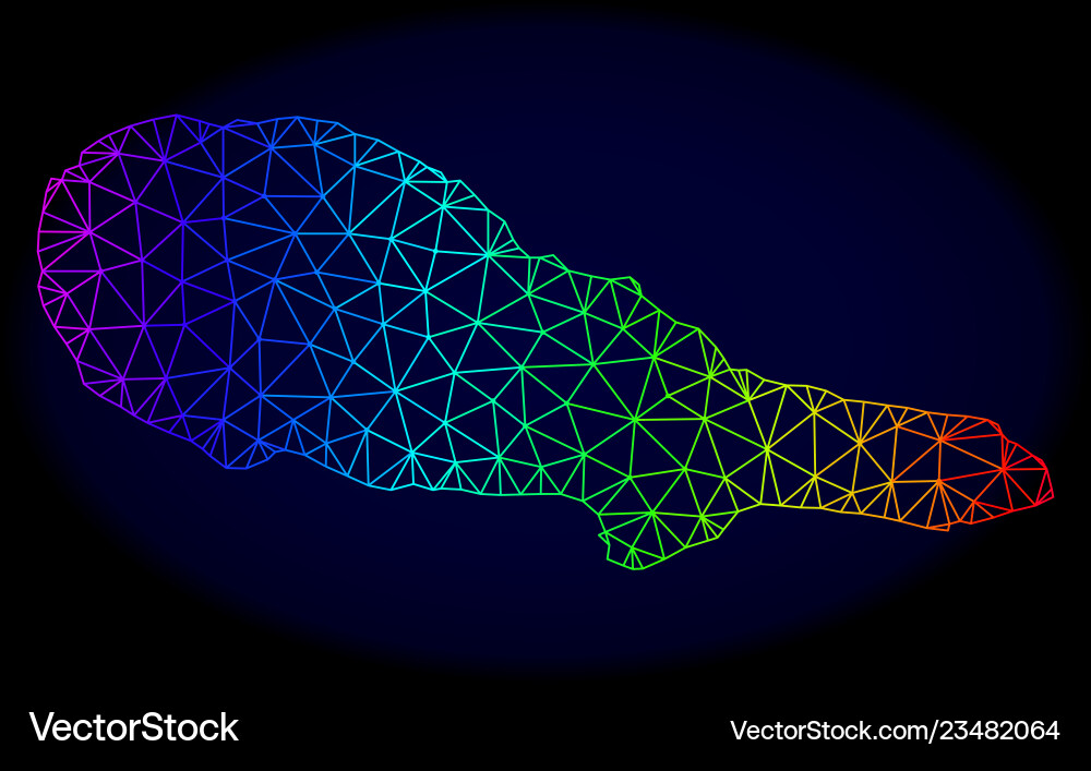 Polygonal network rainbow mesh map of pico Polygonal network rainbow mesh map of pico Vector Image