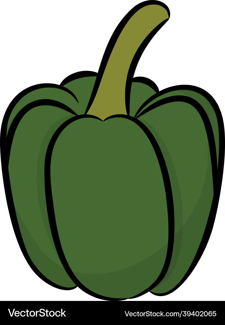 Bell pepper Royalty Free Vector Image - VectorStock