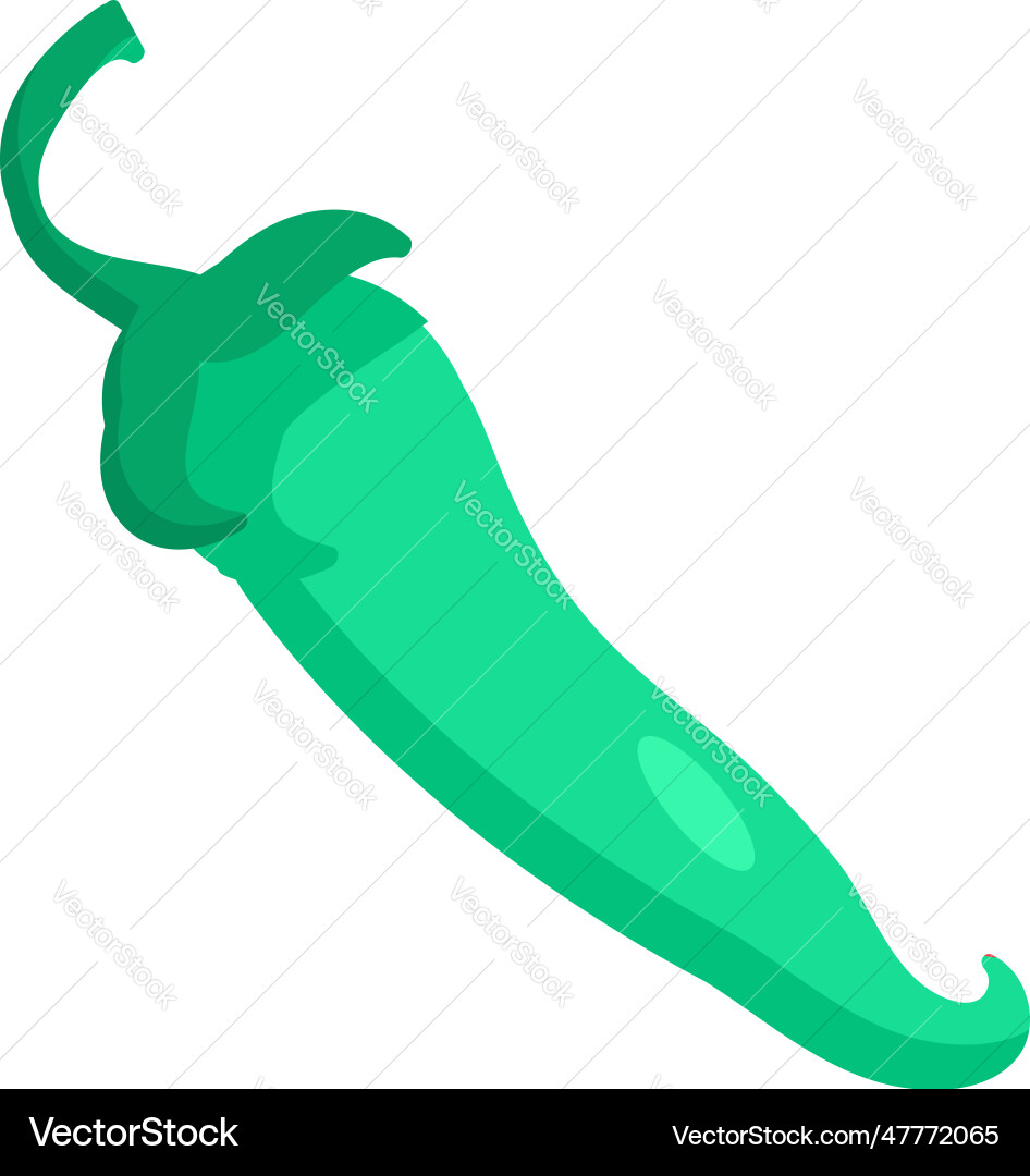 Flat vegetable green chili icon Flat vegetable green chili icon vector image