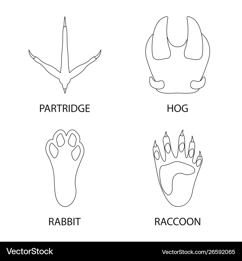 Isolated object foot and footprint icon Isolated object foot and footprint icon vector image
