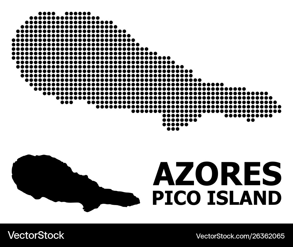Pixel pattern map pico island vector image
